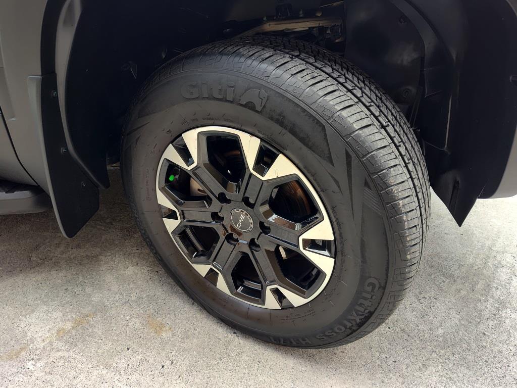 
BYD SHARK GS 2025 full									