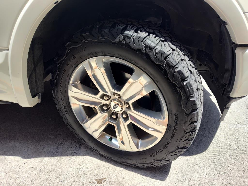 
LOBO PLATINUM 2020 full									