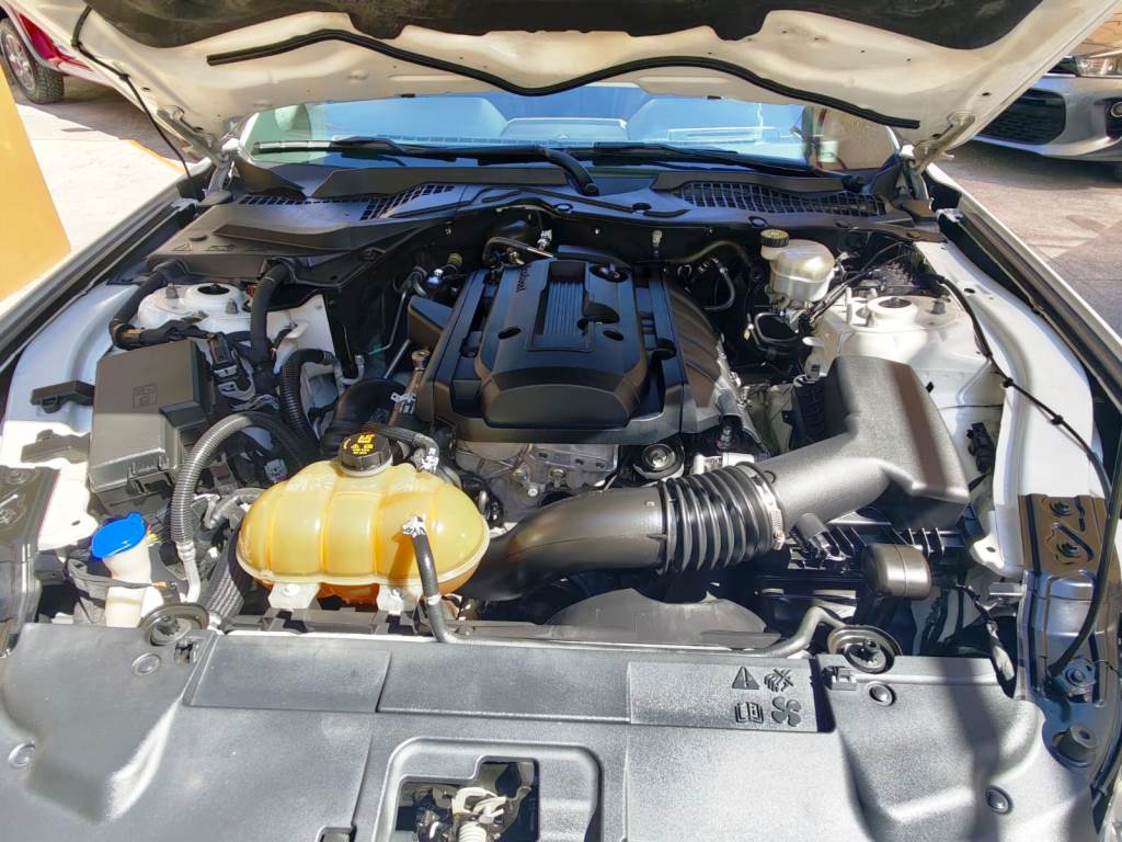 
MUSTANG ECOBOOST 2020 full									