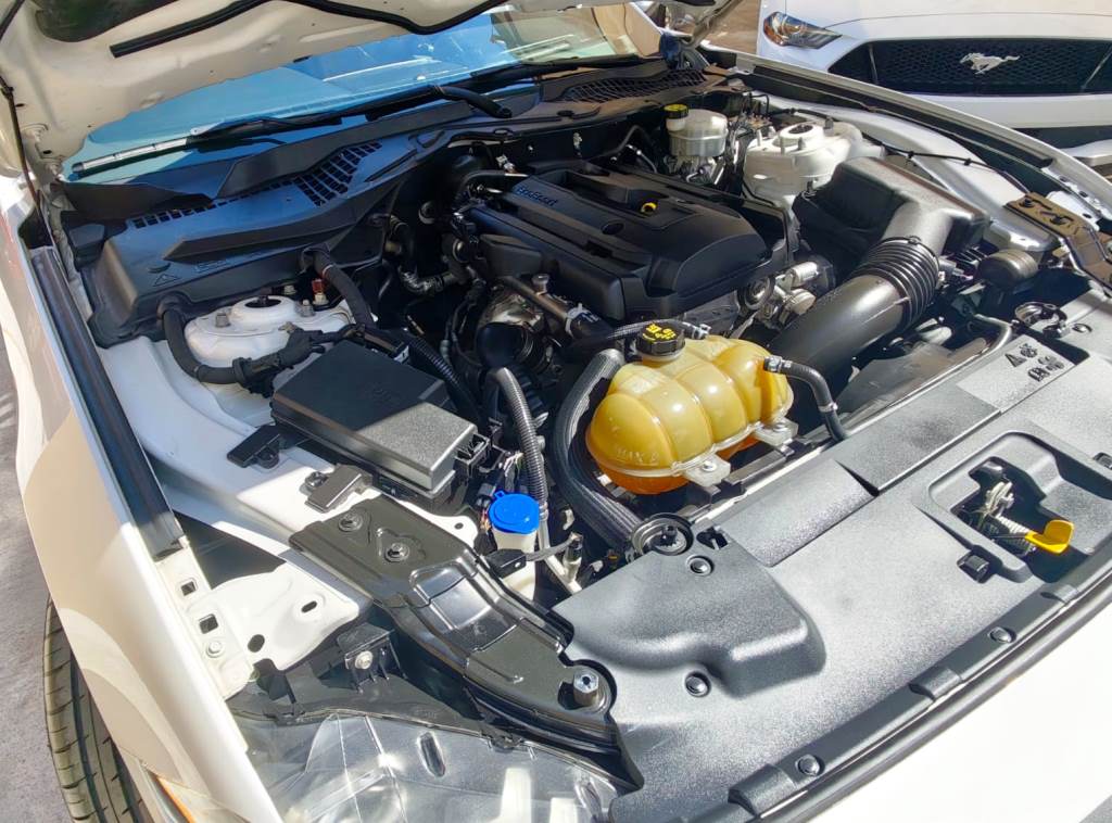 
MUSTANG ECOBOOST 2020 full									