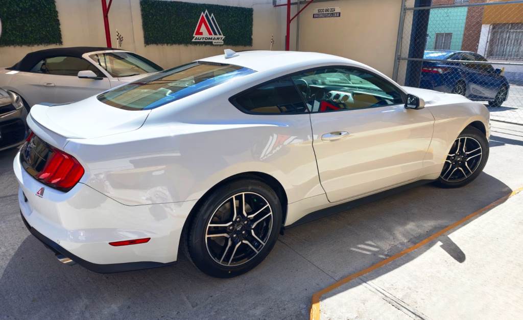 
MUSTANG ECOBOOST 2020 full									
