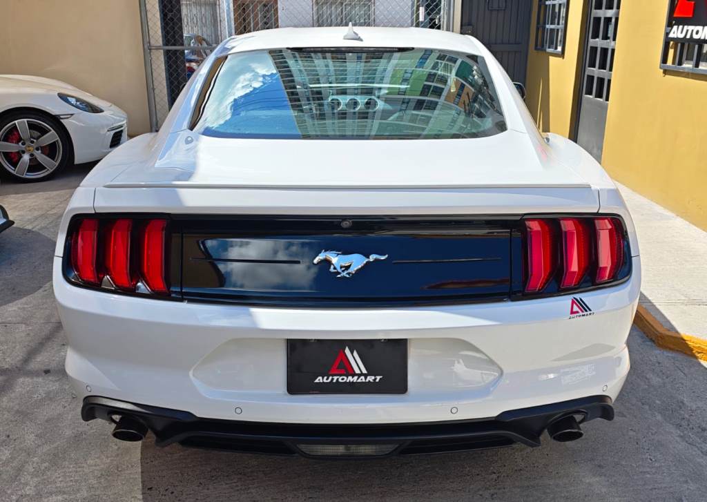 
MUSTANG ECOBOOST 2020 full									